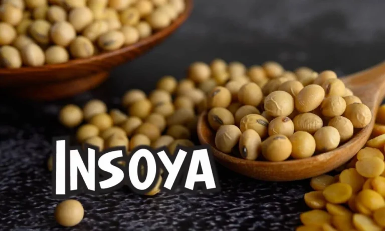 Insoya soybeans in wooden spoon and bowl on dark surface