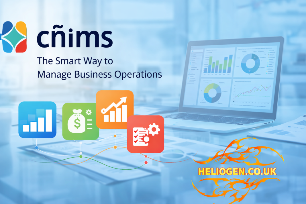 cñims business management dashboard with analytics and workflow icons